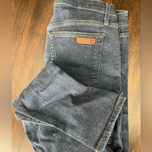 Joe’s Jeans “the Skinny” S30